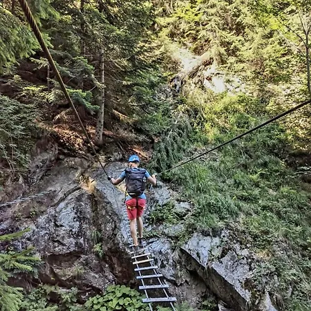 3 Ovecky , Alpehytte Martinske Hole