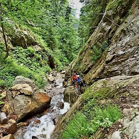 Alpehytte 3 Ovecky ,