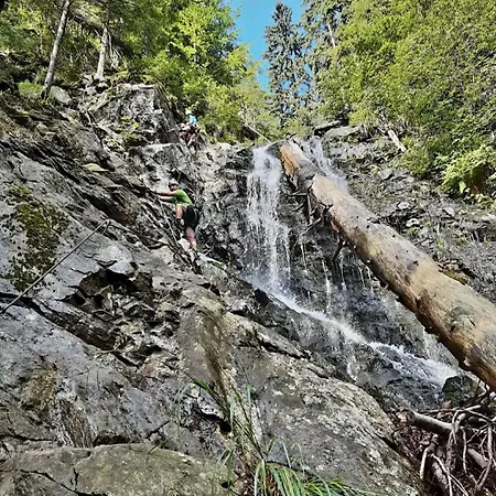 3 Ovecky , Martinske Hole
