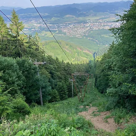 3 Ovecky , Martinske Hole